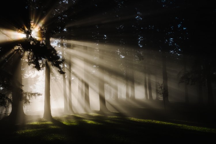 Retraite Spirituelle de Nyokon du 29 au 31 Juillet 2022: (Troisième Partie) -Thème : Le Secret de la transformation-Le Miroir -La Gloire de la deuxième maison" (2 Corinthiens 3:3-18)